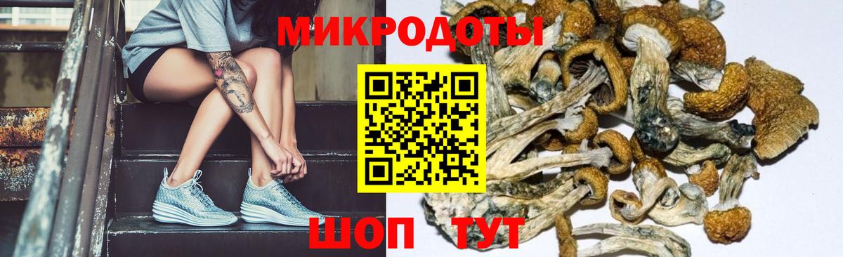 Кандалакша  Псилоцибиновые грибы GOLDEN TEACHER  Вход с VPN 