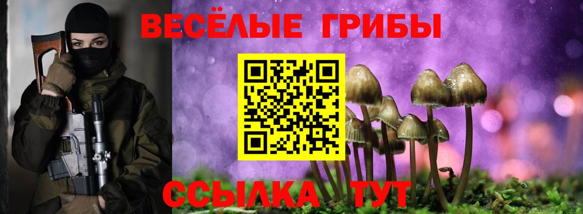 Псилоцибиновые грибы Psilocybe Кандалакша